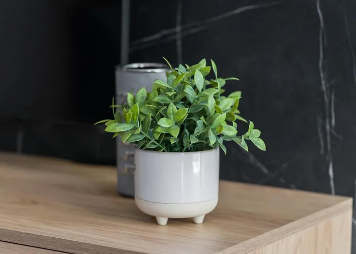 Bookowska Πόζναν